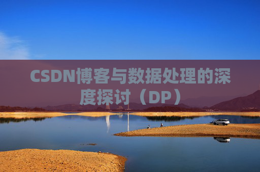 CSDN博客与数据处理的深度探讨（DP）